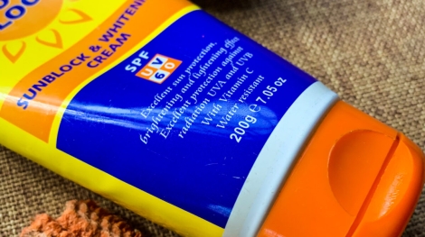 Gavia Sunblock Review